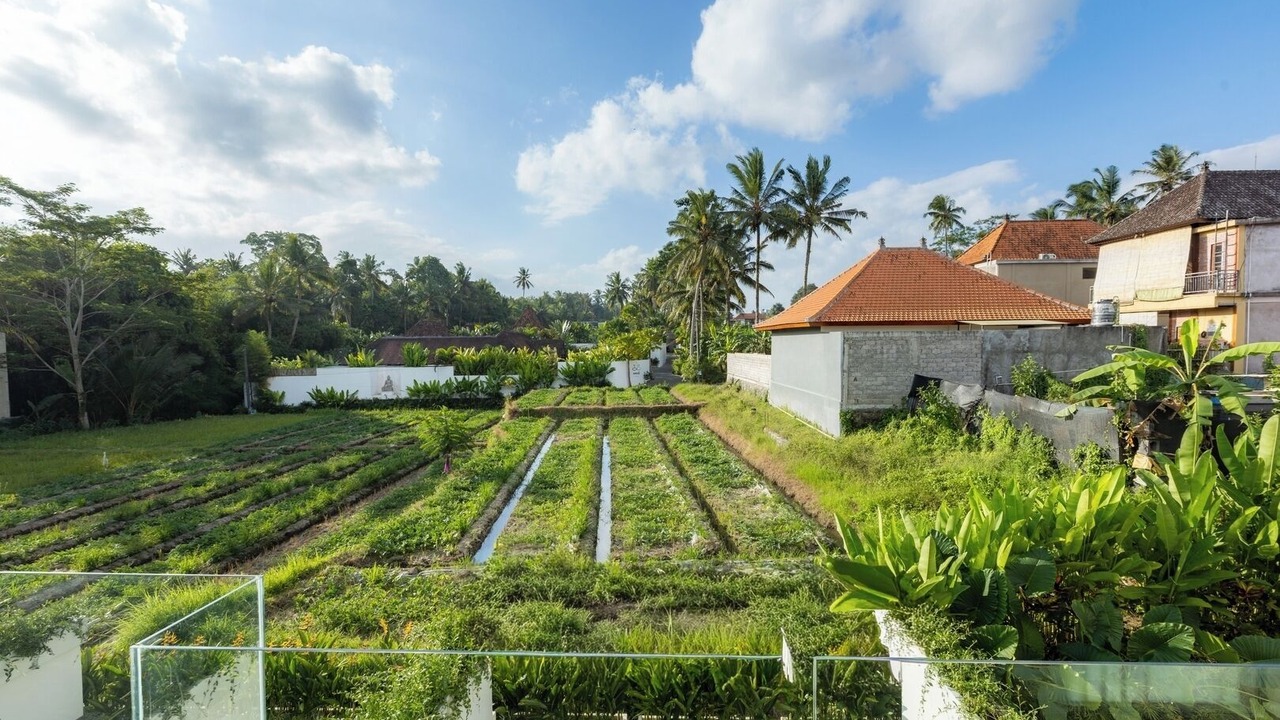 Photo of Others in Pejeng Kawan