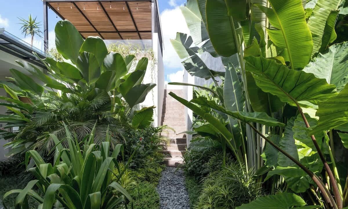 Photo of Outdoor in Padonan