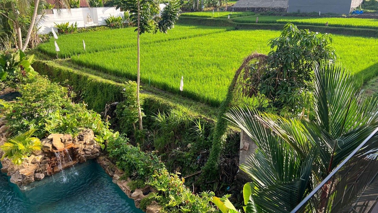 Photo of Outdoor in Pejeng Kawan