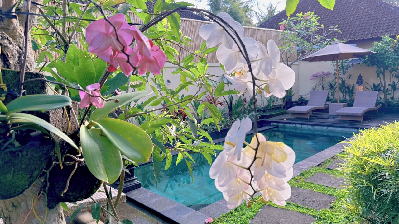 Photo of Outdoor in Penestanan