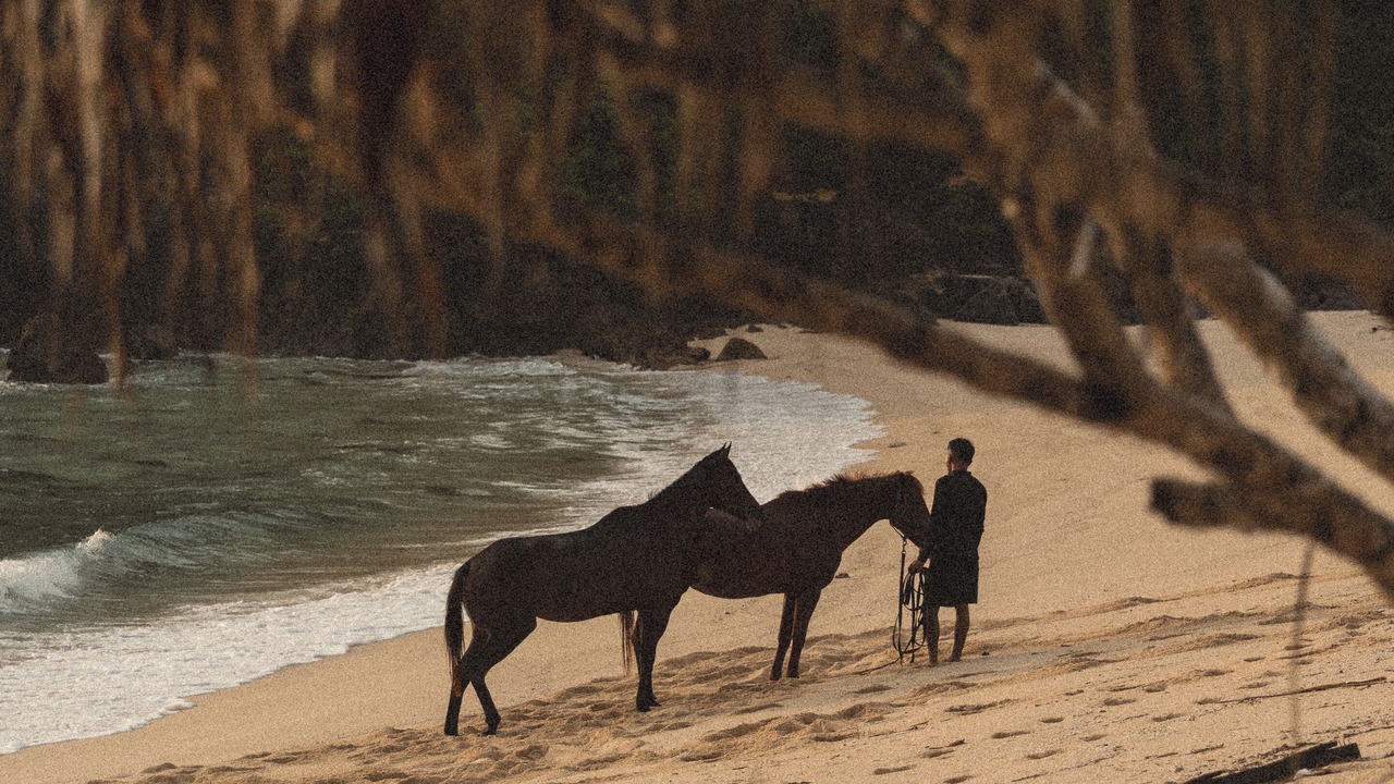 Photo of Others in Central Lombok
