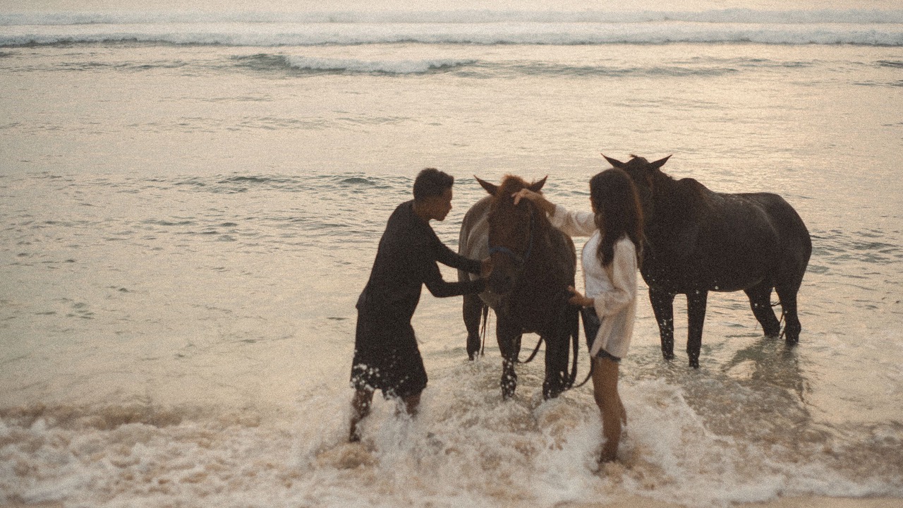 Photo of Others in Central Lombok