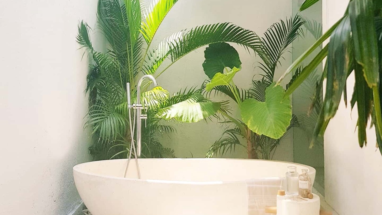 Photo of Bathroom in Batu Bolong