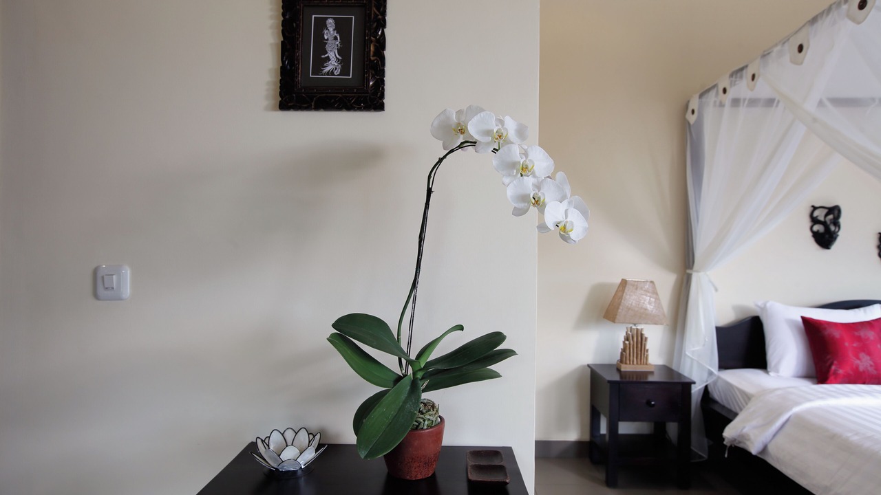 Photo of Bedroom in Kalibukbuk