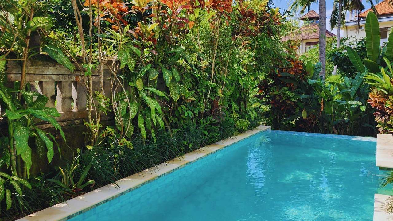 Photo of Outdoor in Ubud City-Centre