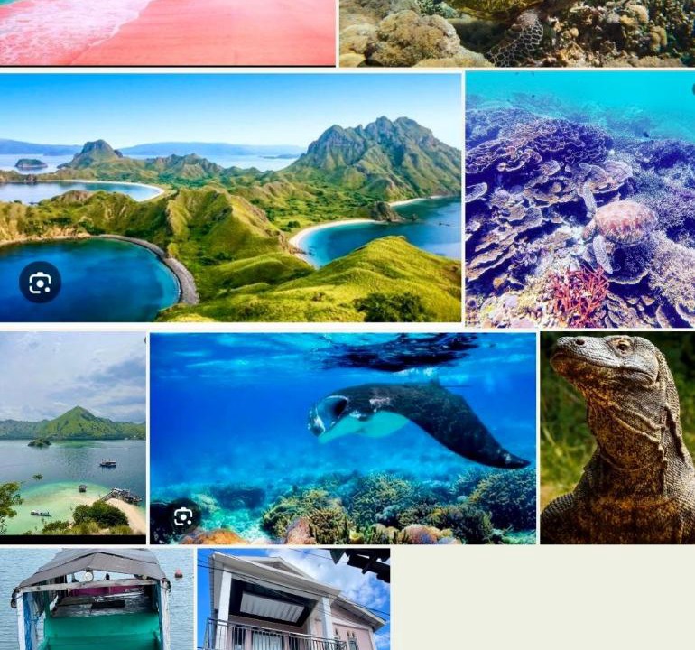 Photo of Others in Komodo