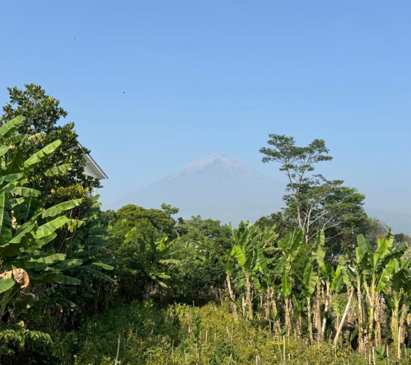 Photo of Others in Temanggung
