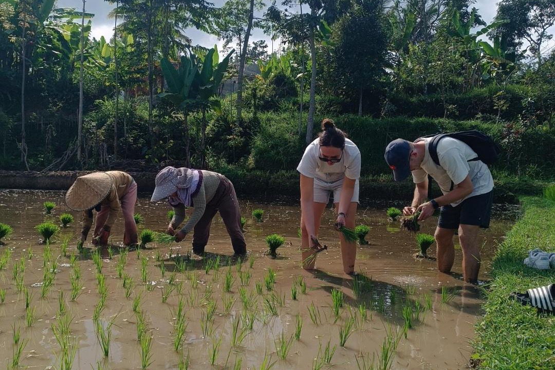 Photo of Others in Tetebatu