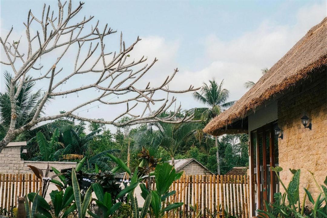 Photo of Others in Selong Belanak