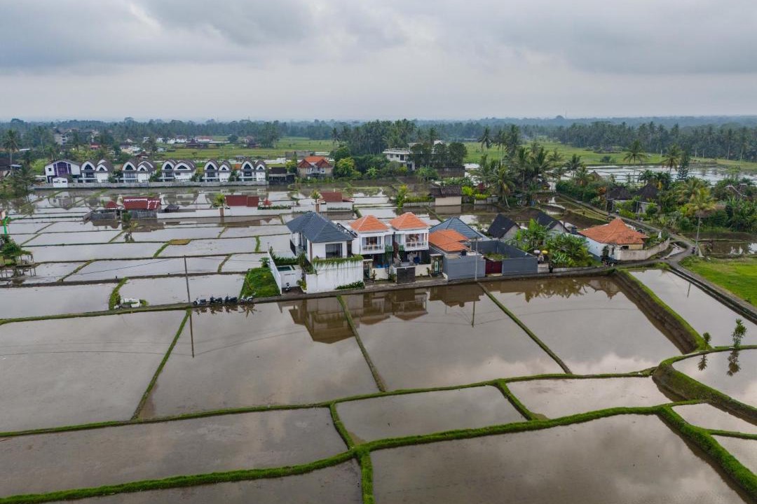 Photo of Others in Tegallalang
