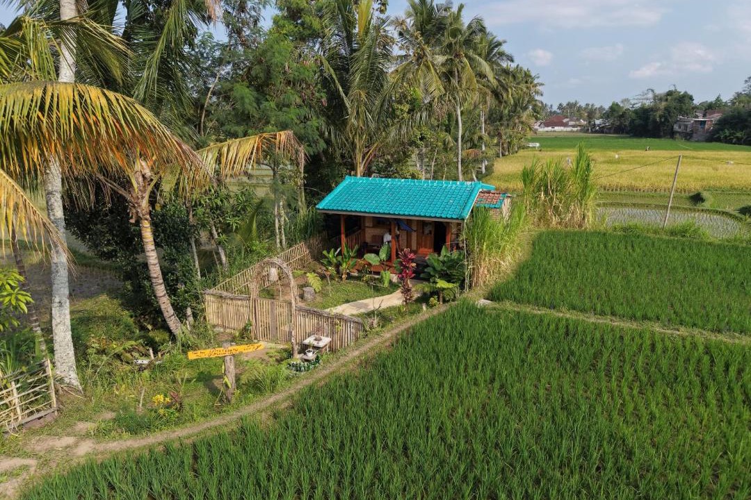 Photo of Others in Tetebatu