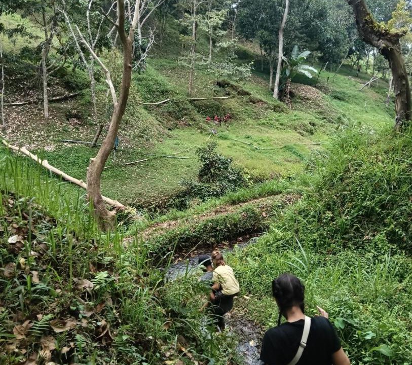 Photo of Others in Tetebatu