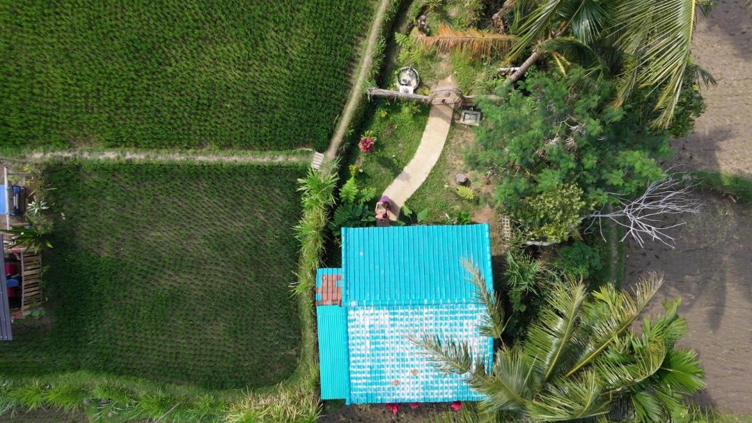 Photo of Others in Tetebatu