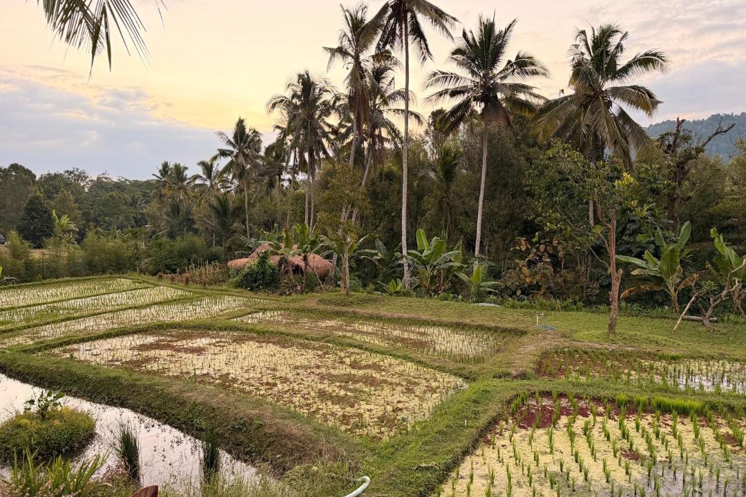 Photo of Others in Munduk