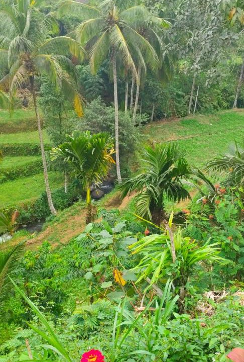 Photo of Others in Tetebatu