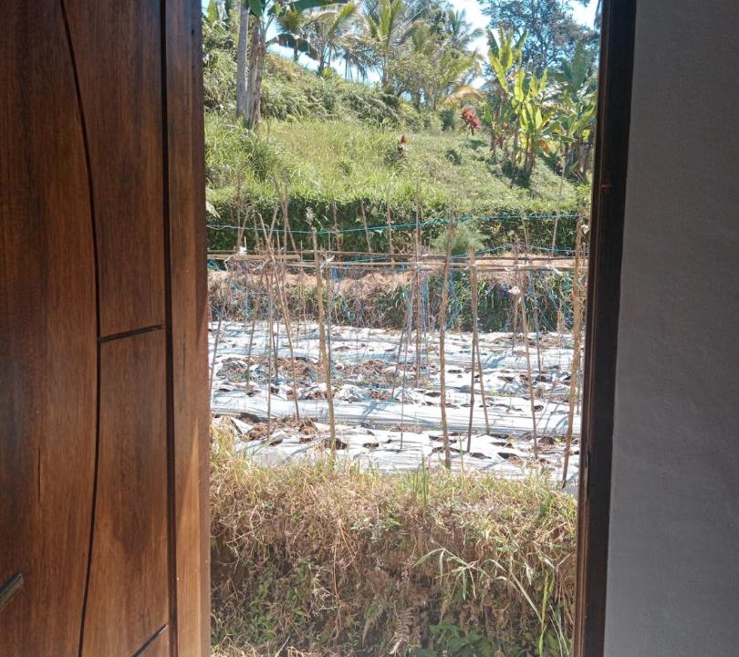 Photo of Others in Kecamatan Labuhan Haji