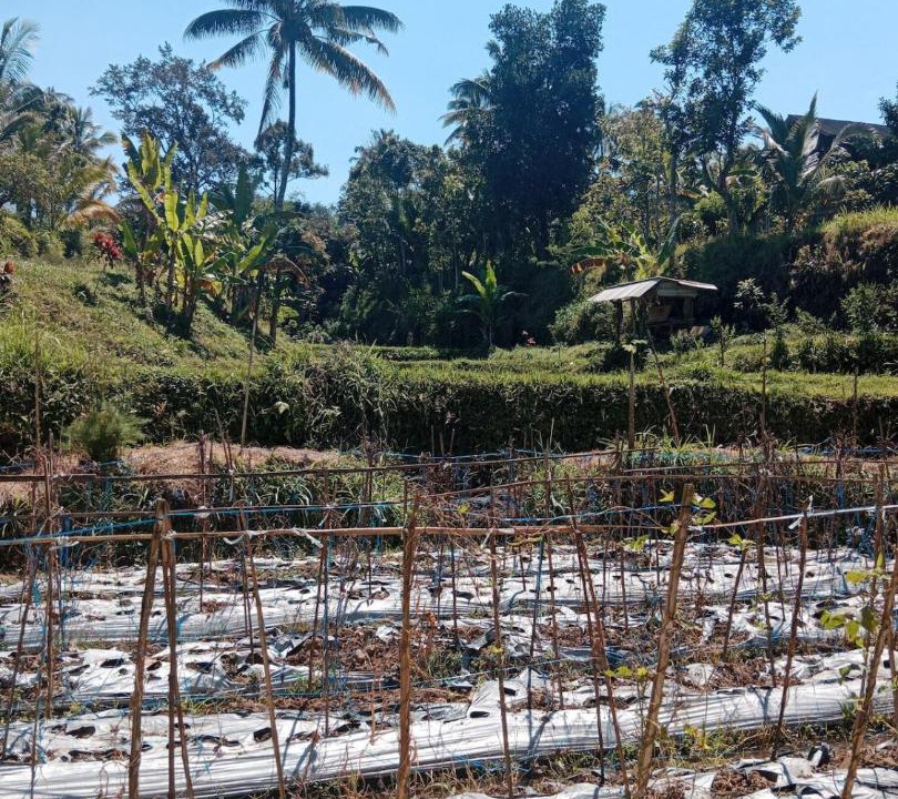 Photo of Others in Kecamatan Labuhan Haji
