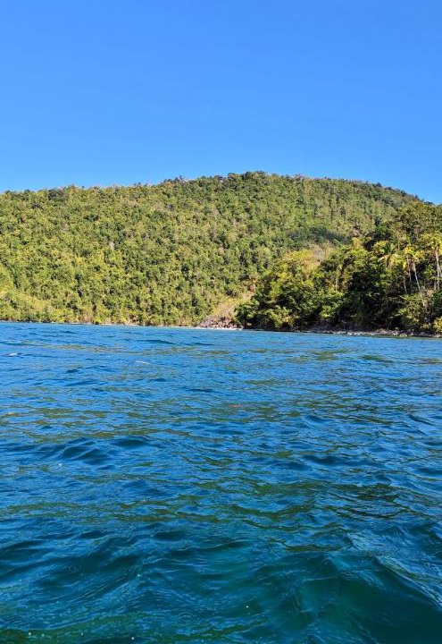 Photo of Others in Banggai