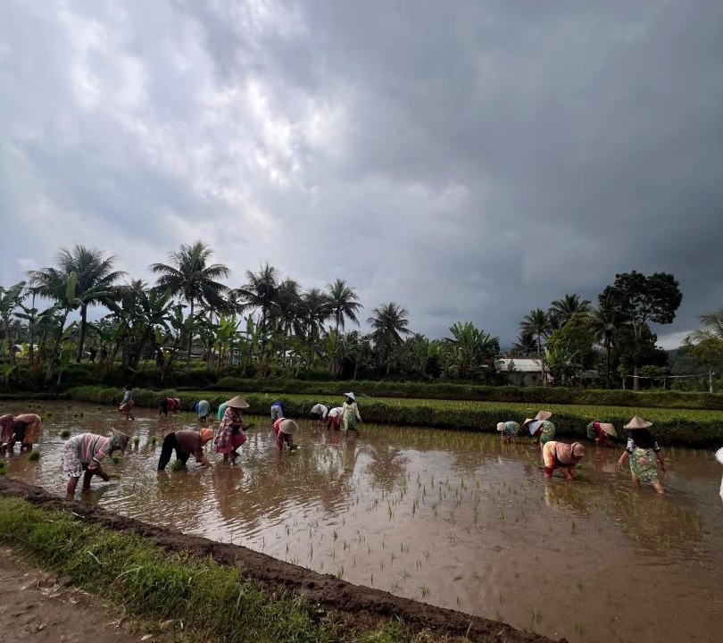 Photo of Others in Tetebatu