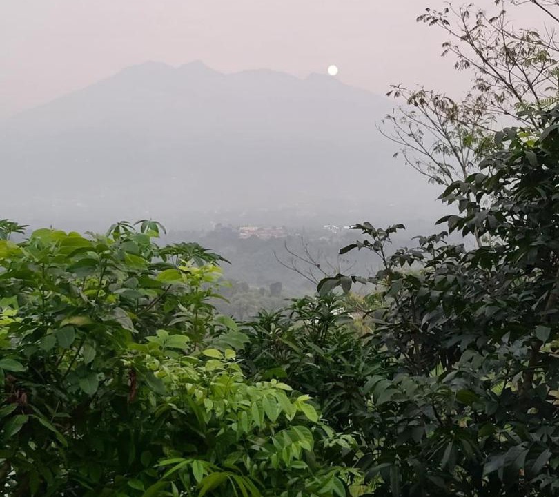 Photo of Others in Caringin
