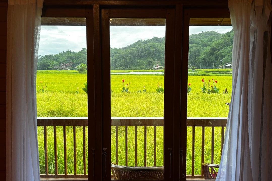 Photo of Others in North Toraja