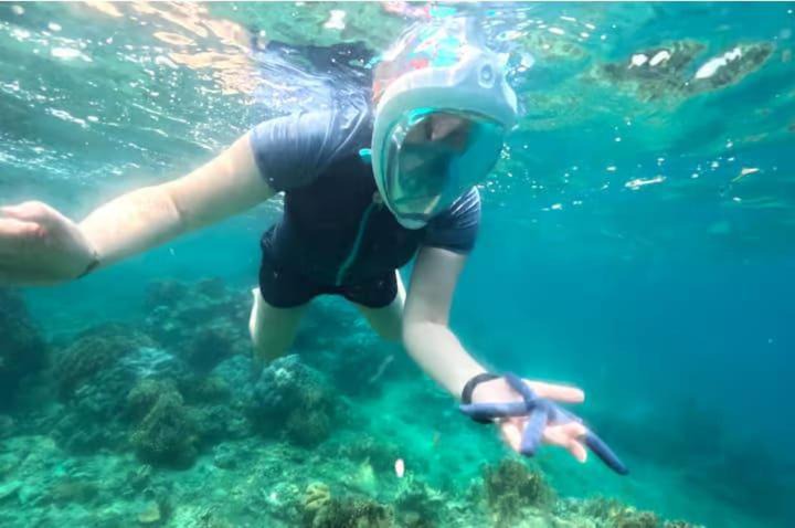 Photo of Others in Gili Gede