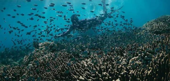 Photo of Others in Gili Gede
