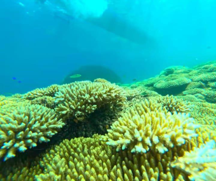 Photo of Others in Gili Gede