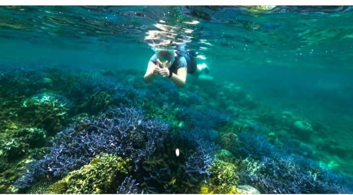 Photo of Others in Gili Gede
