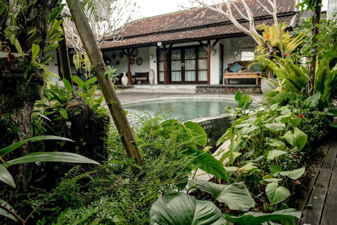 Photo of Others in Ubud City-Centre
