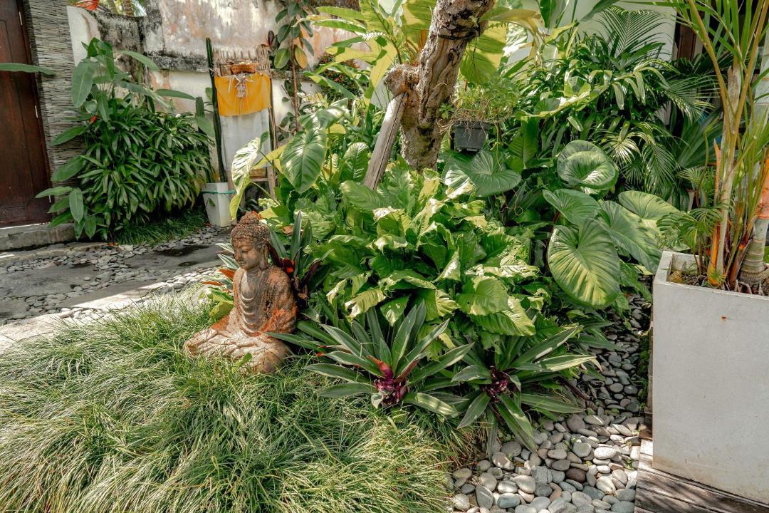 Photo of Others in Ubud City-Centre