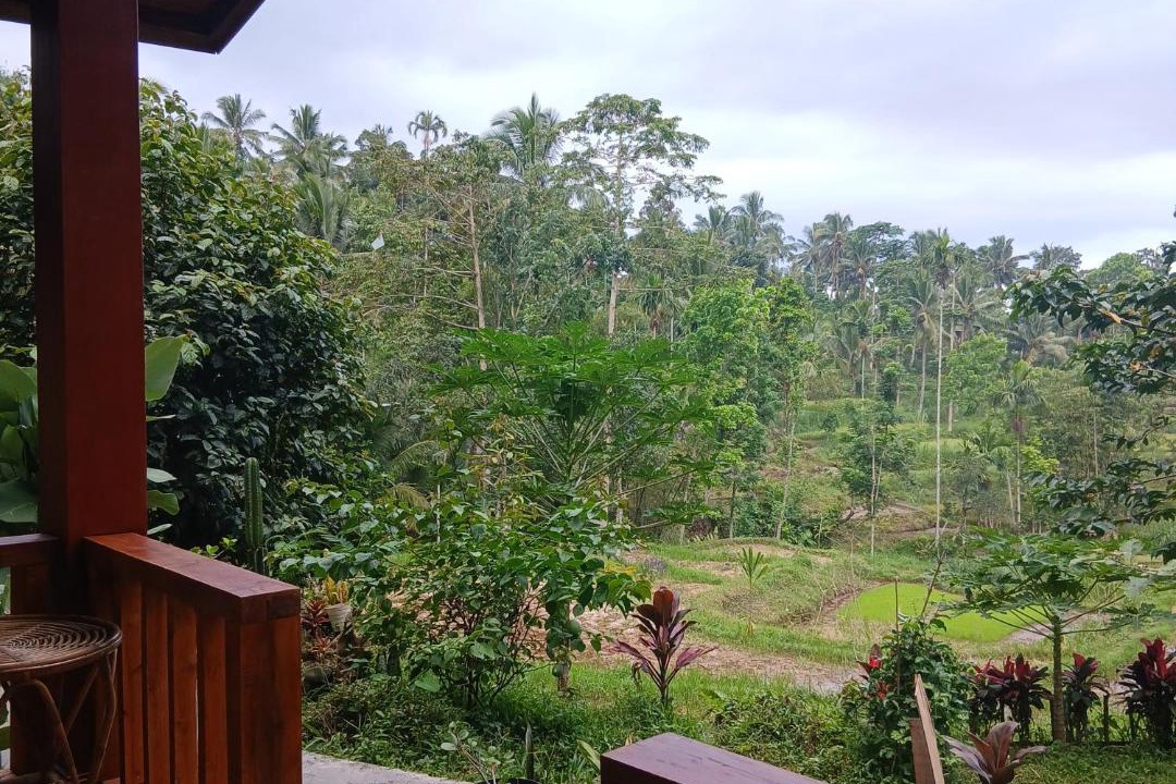 Photo of Others in Tetebatu