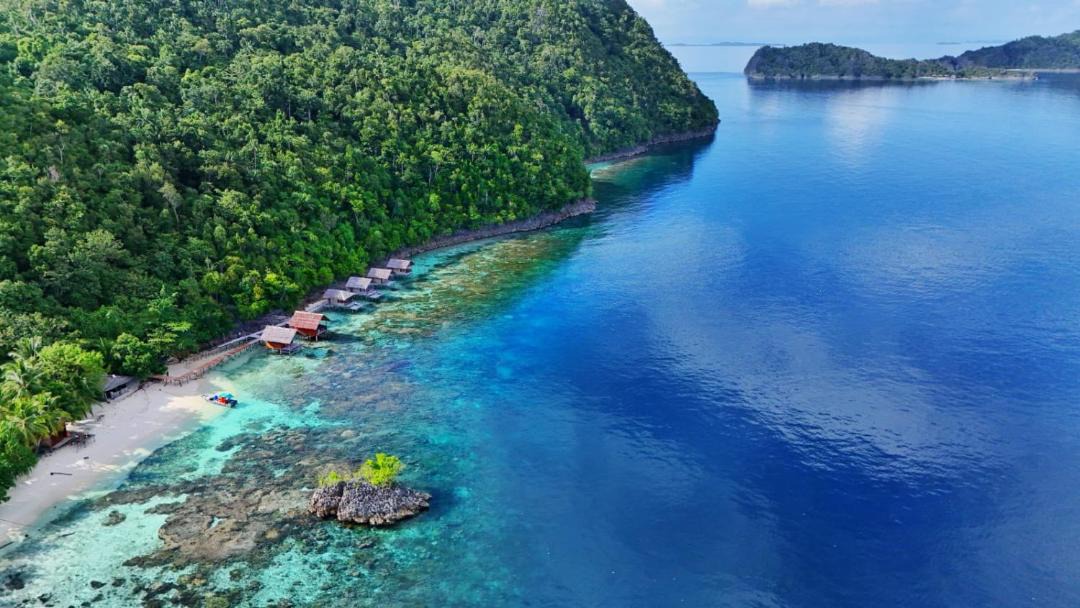 Photo of Others in Pianemo Islands