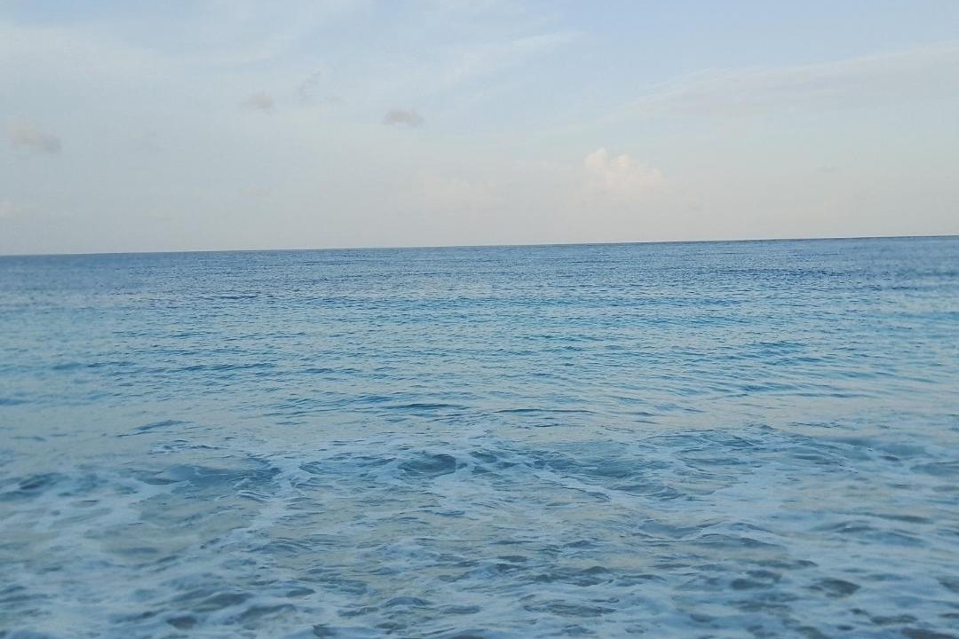 Photo of Others in Pianemo Islands
