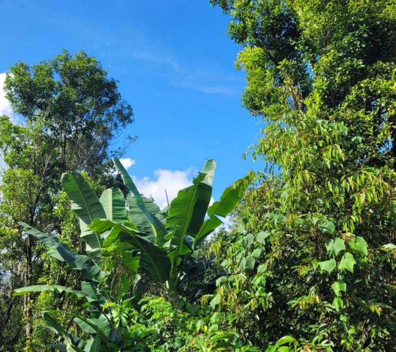 Photo of Outdoor in Gobleg