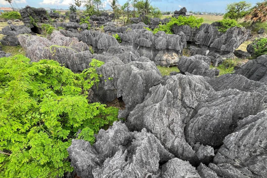 Photo of Others in Bantimurung