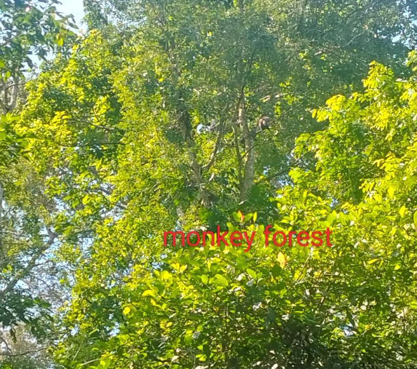 Photo of Outdoor in Kecamatan Montong Gading