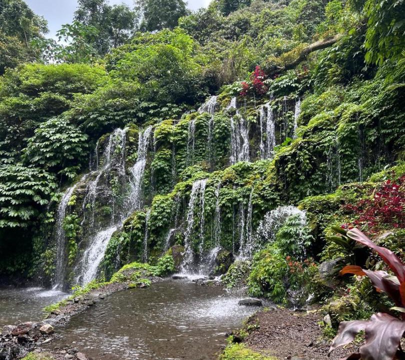 Photo of Others in Wanagiri