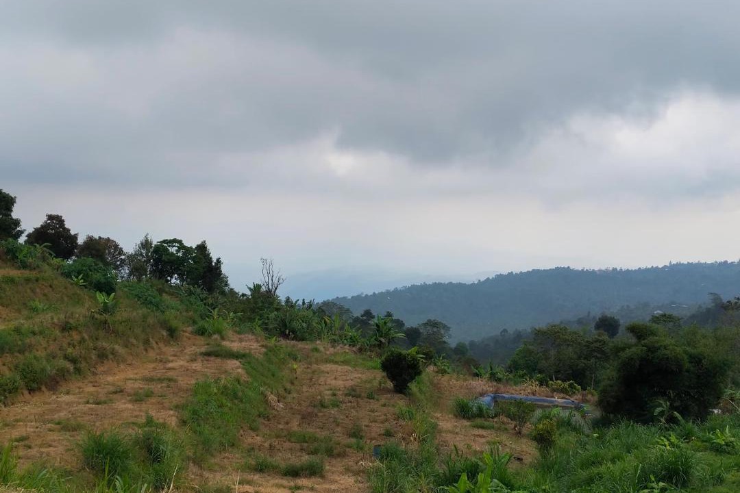 Photo of Others in Munduk