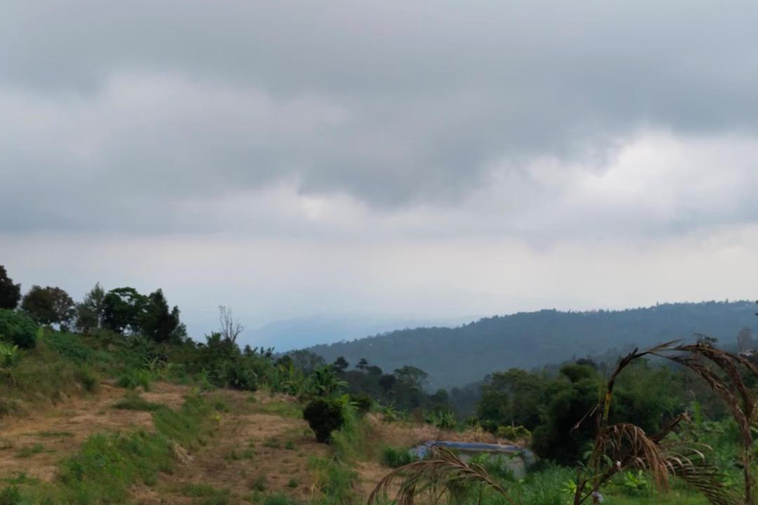 Photo of Others in Munduk