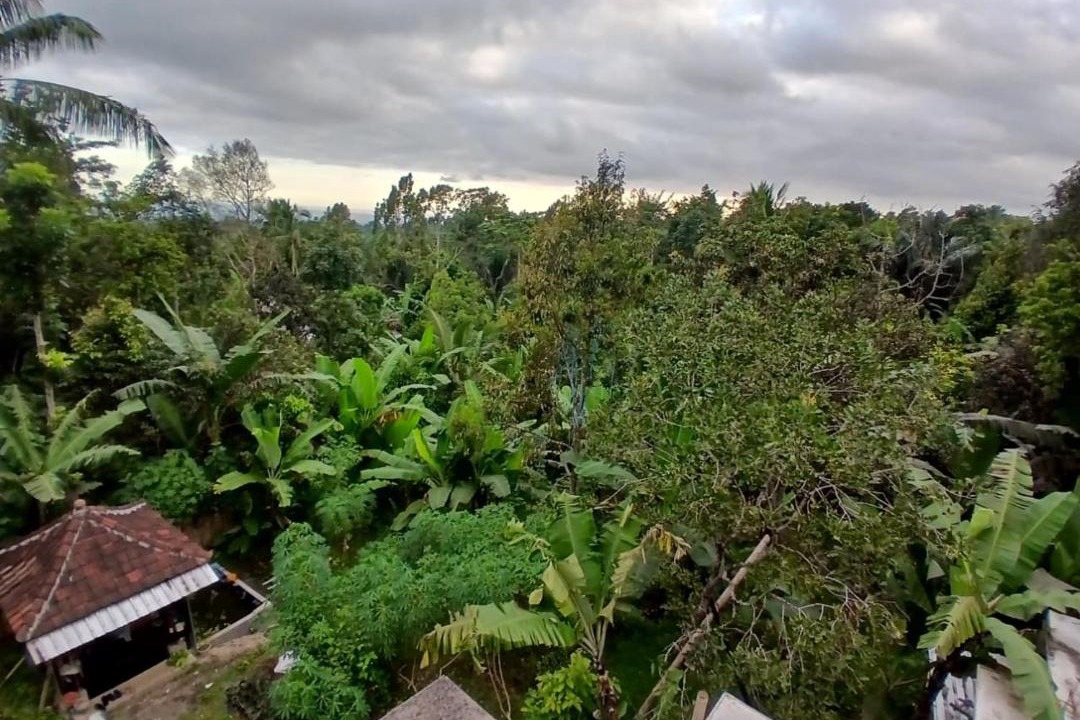 Photo of Others in Kecamatan Pringgasela