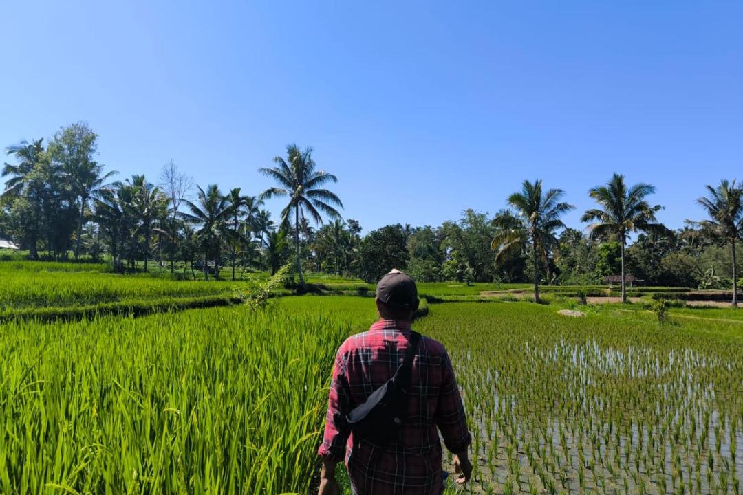 Photo of Others in Tetebatu