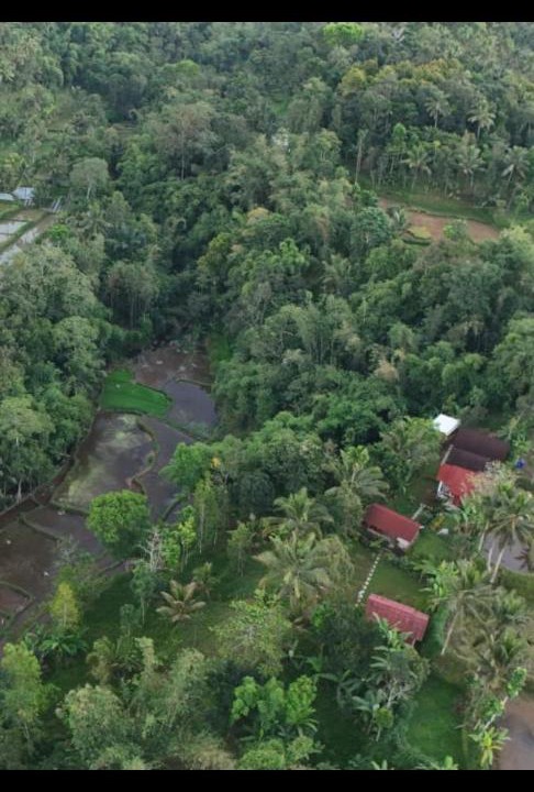 Photo of Others in Tetebatu