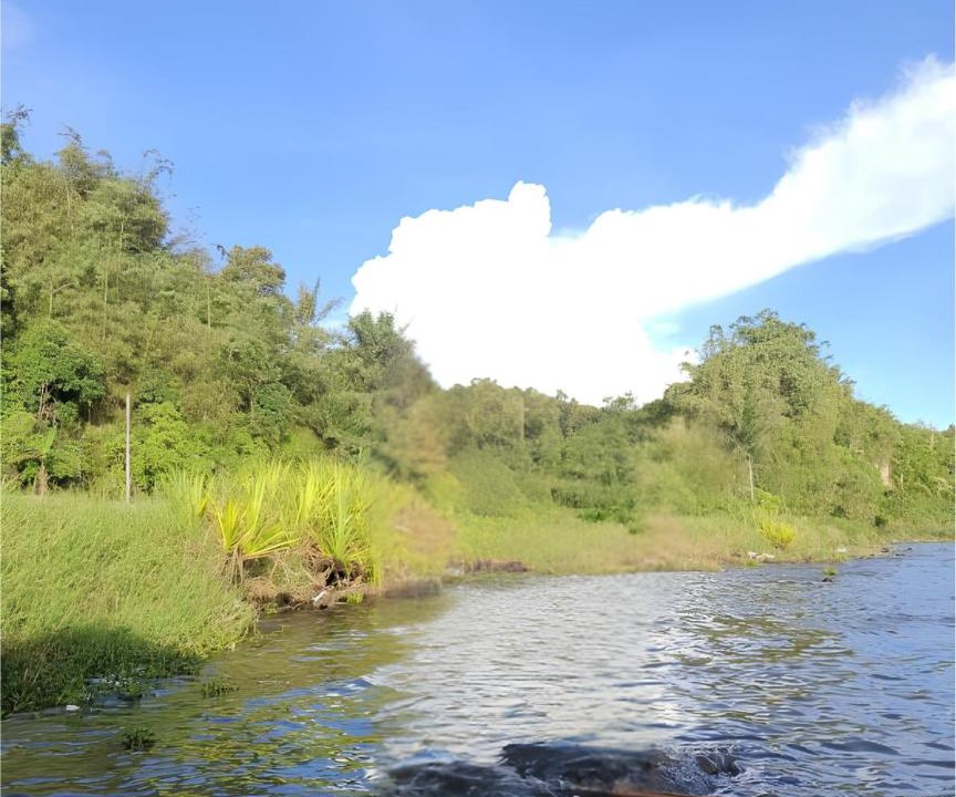 Photo of Others in Padang