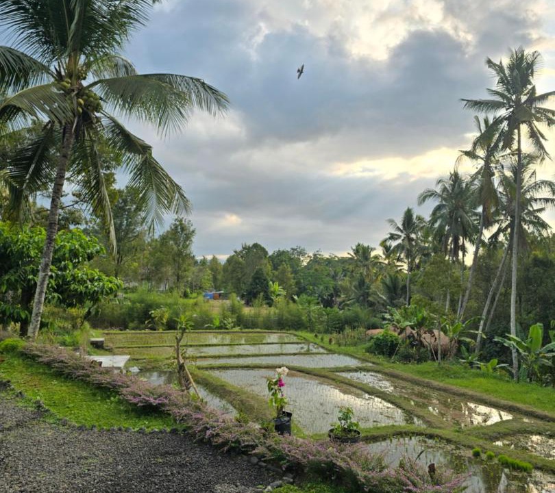 Photo of Others in Munduk