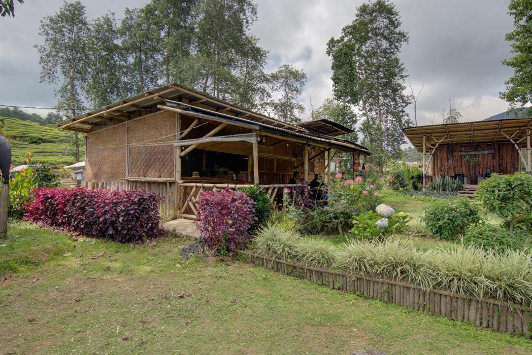 Photo of Others in Rancabali