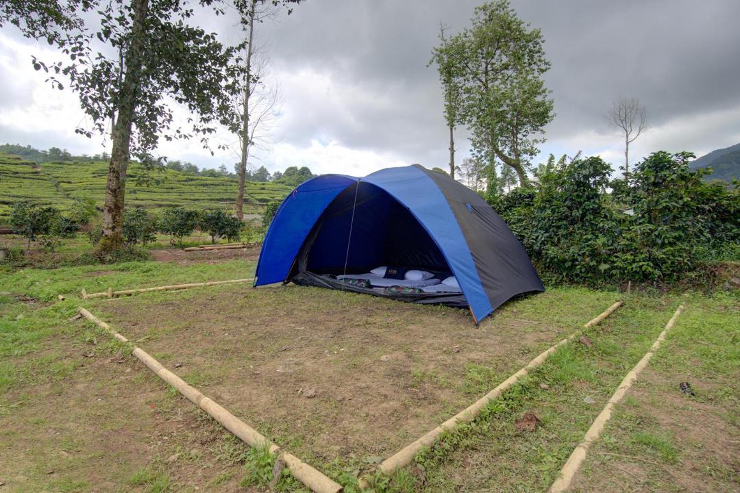 Photo of Outdoor in Rancabali