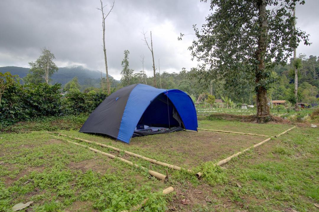 Photo of Outdoor in Rancabali