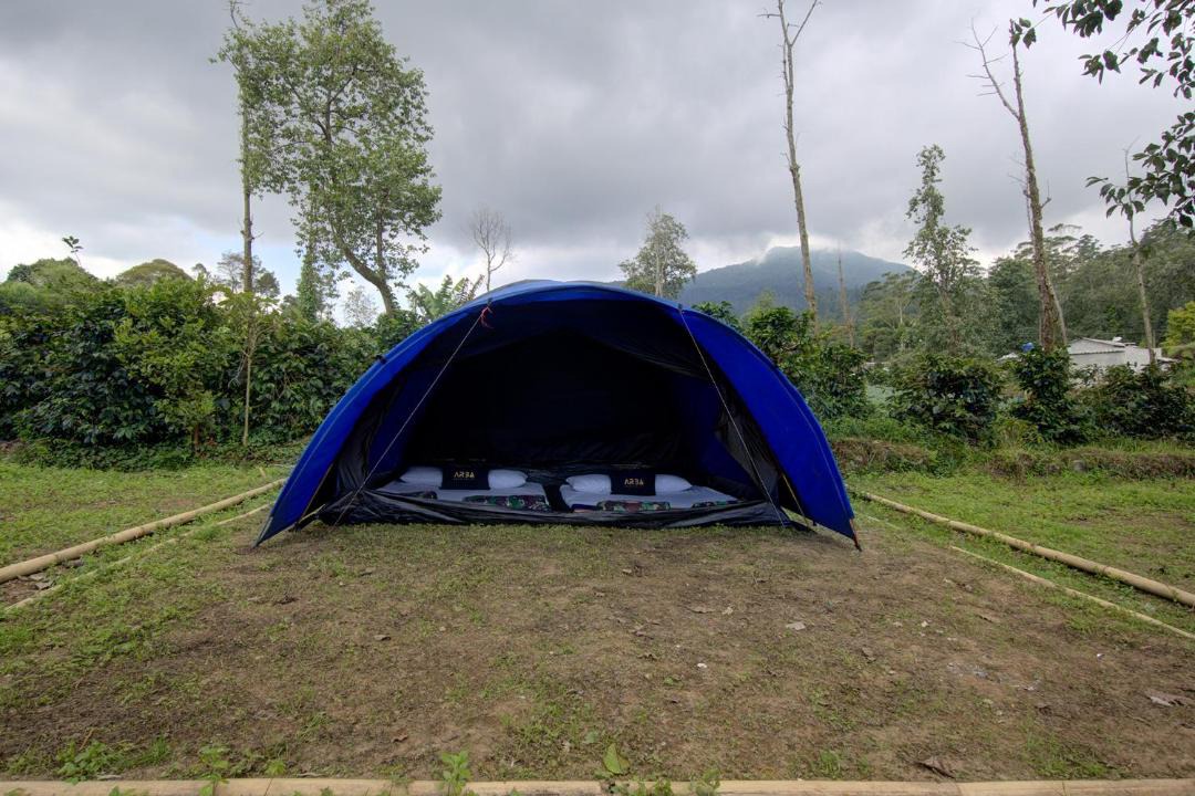 Photo of Outdoor in Rancabali