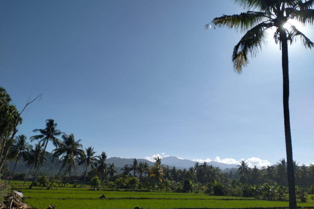 Photo of Others in Cikakak